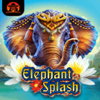 Elephant Splash