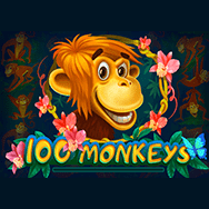 100 Monkeys