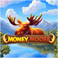 Money Moose