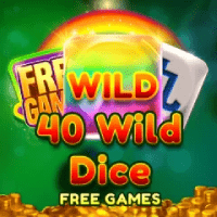 40 Wild Dice