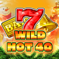 Wild Hot 40 Christmas