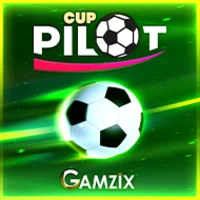 Pilot Cup