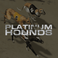 Platinum Hounds