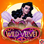 Wild Velvet