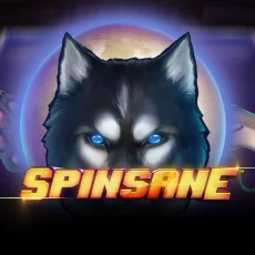 Spinsane