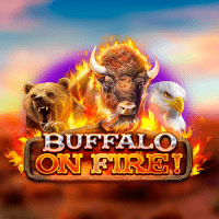 Buffalo on Fire