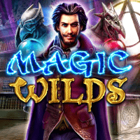 MAGIC WILDS