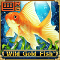 Wild Gold Fish