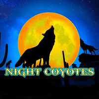 Night Coyotes