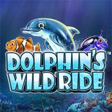 Dolphin's Wild Ride