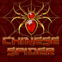 Chinese Spider