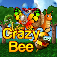 Crazy Bee