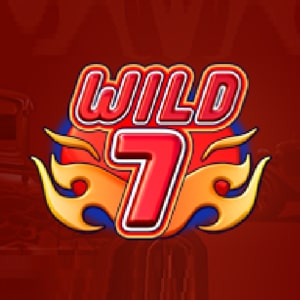 Wild 7