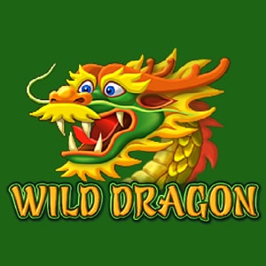 Wild Dragon