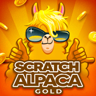 Scratch Alpaca Gold