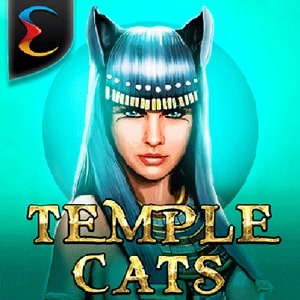 Temple Cats