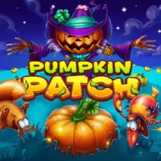 Pumpkin Patch