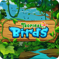 Tropical Birds