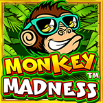 Monkey Madness