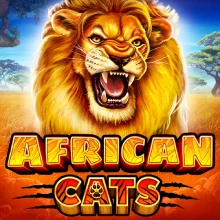 African Cats