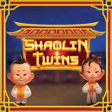 Shaolin Twins