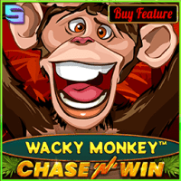 Wacky Monkey - Chase'N'Win