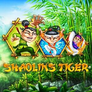 Shaolin Tiger