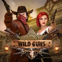 Wild Guns